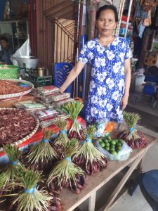 Obat Tradisional