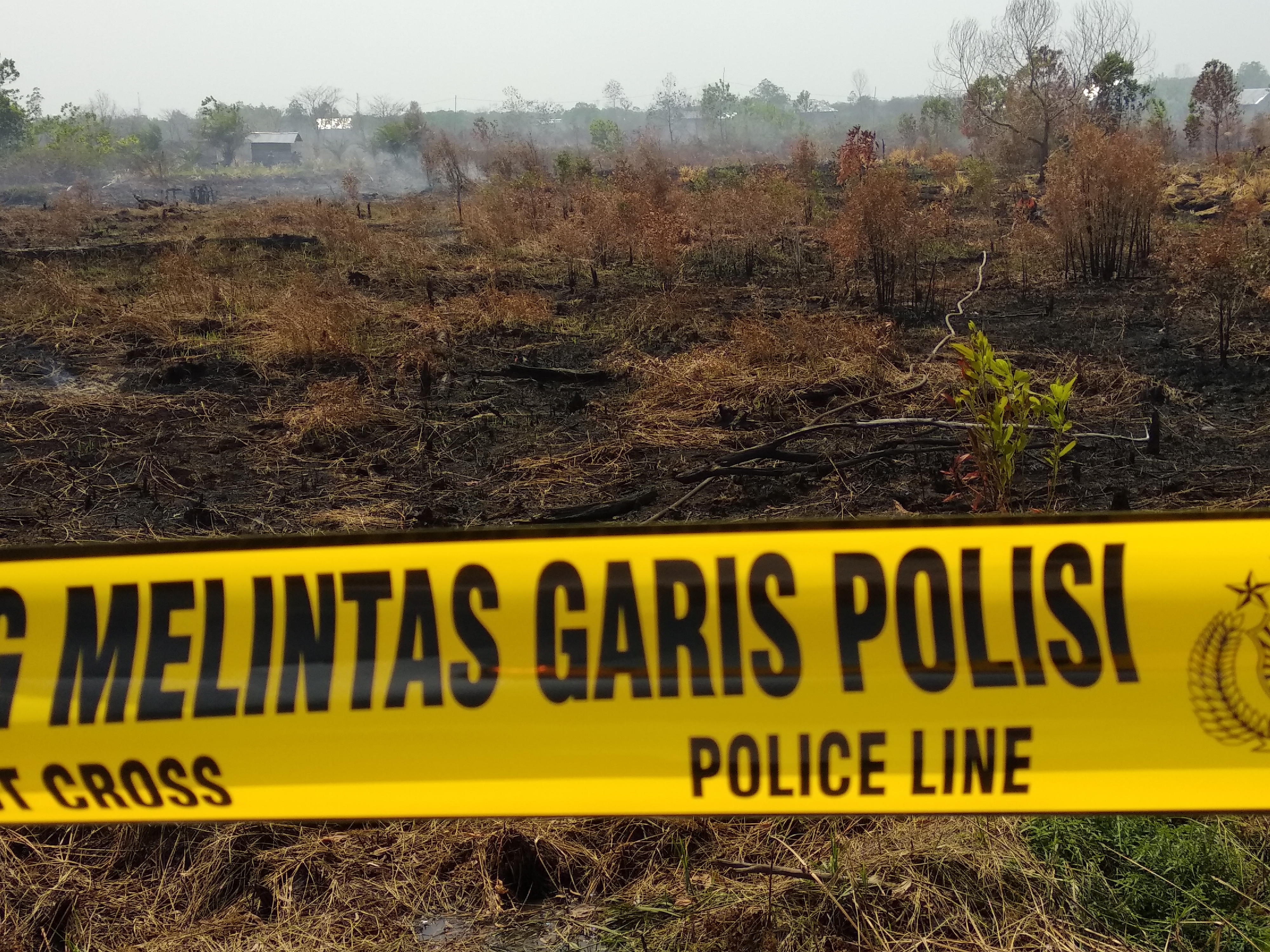 Lahan yang terbakar di berikan garis polisi