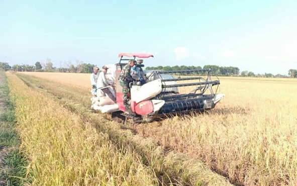3.949 ton
