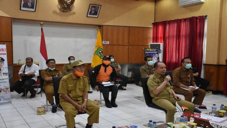 Zona Hijau