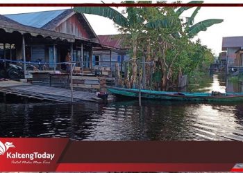 Ditengah Pandemi Corona, Sungai Barito Meluap Akibatkan Ratusan Rumah Di Barsel Terendam