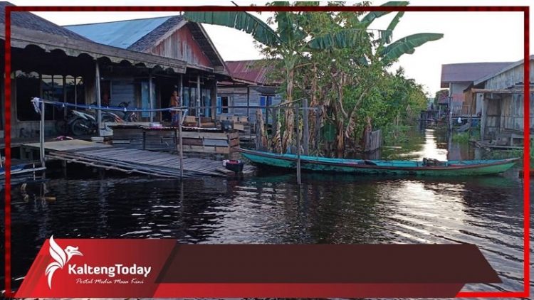 Ditengah Pandemi Corona, Sungai Barito Meluap Akibatkan Ratusan Rumah Di Barsel Terendam