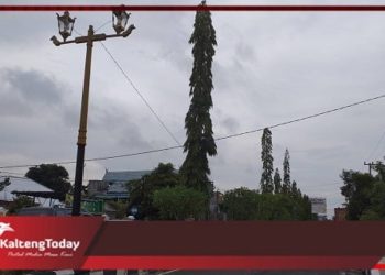 Disperkim Kotim Siapkan 40 Unit Lampu Jalan