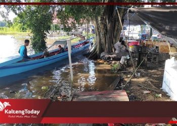 Debit Air Sungai Barito Meningkat, Jalan Dan Rumah Warga Mulai Tergenang