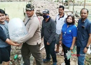 DPKP Gumas Bagikan Ribuan Bibit Ikan Untuk Kelompok Budidaya
