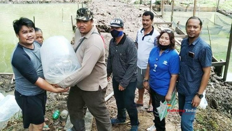 DPKP Gumas Bagikan Ribuan Bibit Ikan Untuk Kelompok Budidaya