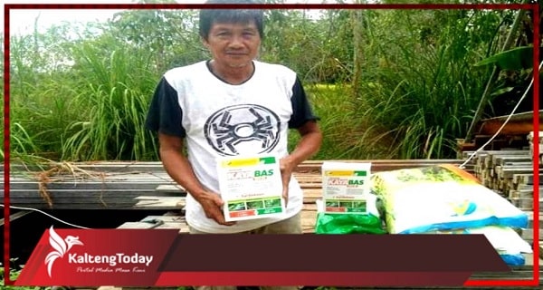 Bantuan Benih Jagung Hibrida Distribusikan Ke Kelompok Tani Gumas