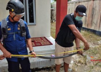 Menyiapkan jerat untuk orang utan