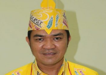 Pulang Pisau