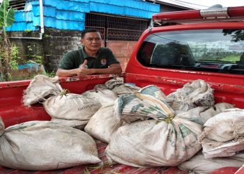 Meski Tidak Dindungi, Penjualan Ular Harus Memiliki Ijin