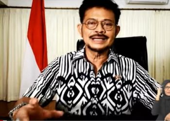 Stok Beras Nasional 15 Juta Ton, Aman Ditengah Pandemi Covid-19