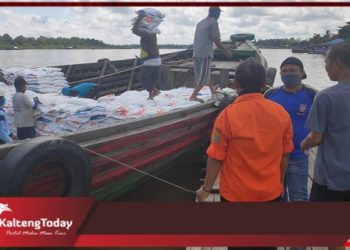 Bantuan Beras Korban Banjir Kabupaten Barsel Diberikan Perkeluarga