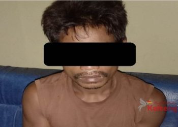 Nekat Gagahi Tetangga, Pria Beristri Diamankan Polisi