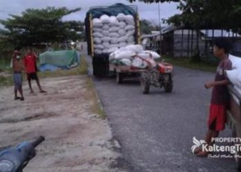 Dewan Prihatin Hasil Panen Petani Kotim Dibeli Daerah Lain