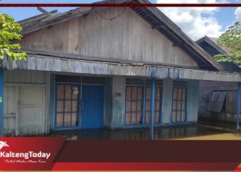 Sungai Barito Kembali Meluap, Rumah Warga Terendam Banjir