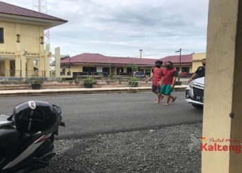 Tiga Pencuri Sarang Burung Wallet di Cokok Polisi
