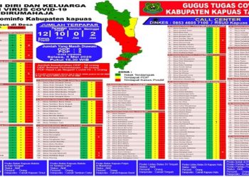 Bertambah 1 Orang, Positif Covid-19 Kabupaten Kapuas Jadi 12 Orang