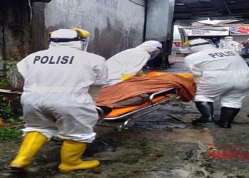 penjual ikan tewas