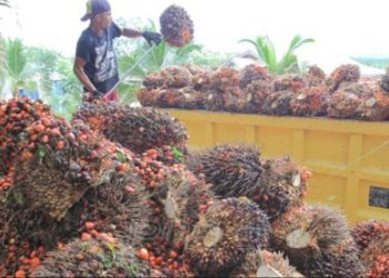 Momentum Hari Buruh, PBS di Gumas Di Minta Tingkatkan Kesejahteraan Karyawan