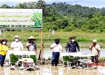 Waket I DPRD Gumas: Tanaman Padi Berpotensi Dikembangkan