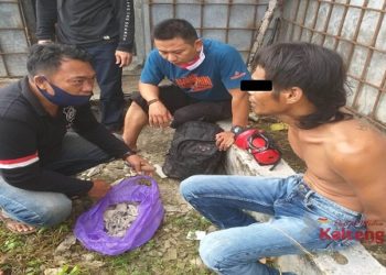 Polisi Tangkap Pencuri Sarang Walet di Bahaur