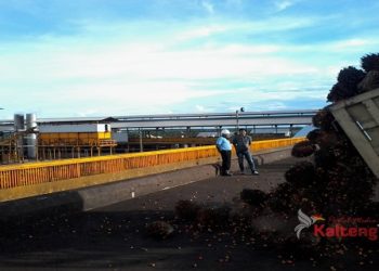 Cegah Ribuan Pekerjanya Terpapar Corona Perkebunan Kelapa Sawit Kalteng Lakukan Pembatasan Akses
