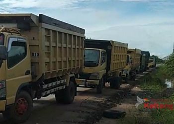 Upaya Sogok Oknum Sopir Hendak Masuk Palangka Raya Ditentang Petugas Pos Libas
