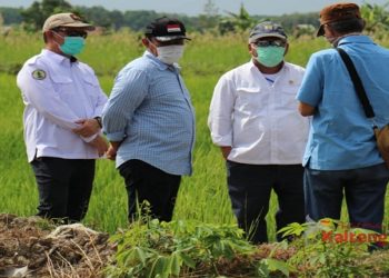 Menteri PUPR Lihat Lahan Eks PLG Sejuta Hektar di Pulang Pisau