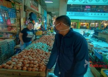 Legislator Ini Minta Pemda Antisipasi Kenaikan Harga Kebutuhan Pokok