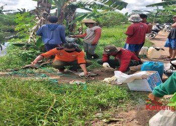 Selama 2020, 6 Kali Serangan Buaya di Kotim