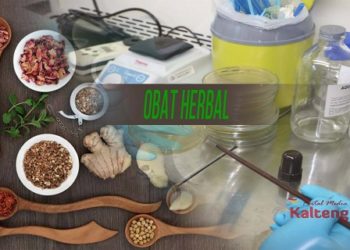 Bisa Buat Obat Herbal Untuk Covid-19? Hadiah Uang Rp. 250 Juta Dari Gubernur Kalteng Menanti