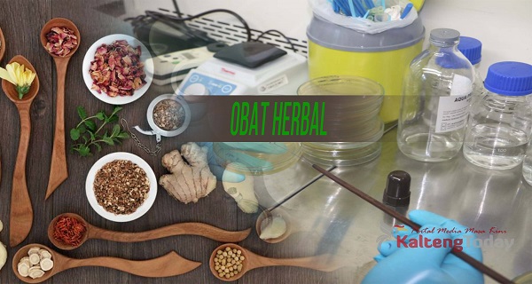 Bisa Buat Obat Herbal Untuk Covid-19? Hadiah Uang Rp. 250 Juta Dari Gubernur Kalteng Menanti