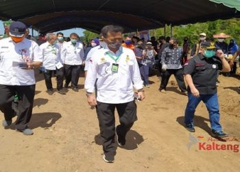 Kabupaten Pulang Pisau Dicanangkan Menjadi Lumbung Padi Ketahanan Nasional
