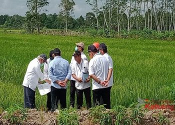 Kementerian PUPR Lakukan Pendalaman Rawa Untuk Dukung Ketahanan Pangan Nasional