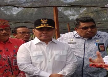 Jadi Penentu Ekonomi Kalteng, Belum Ada Perusahaan Sawit Lakukan PHK Saat Pandemi Corona
