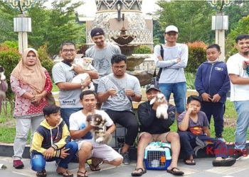 Komunitas Cat Lover Sampit Ajak Masyarakat Peduli Kucing Liar