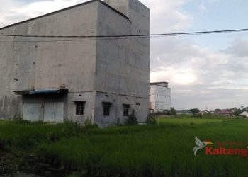 Target Pajak Sarang Walet Rp 2 Miliar, Baru Terealisasi 26 Juta