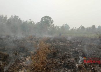 Kalteng Perlu Payung Hukum Untuk Penanganan Karhutla