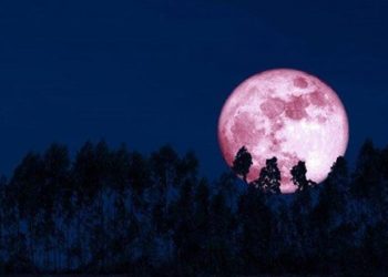 Memandang Indahnya Sang Penumbra, Gerhana Bulan Langka di Langit Palangka Raya