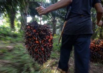 Belum semua PBS di Gumas Sampaikan Laporan pembayaran THR