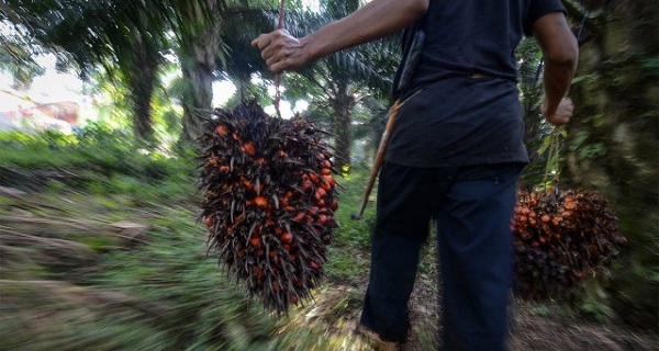 Belum semua PBS di Gumas Sampaikan Laporan pembayaran THR