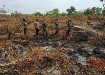 TN Tanjung Puting Dan TN Sebangau Jadi Perhatian Polda Kalteng