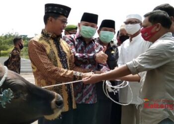 Dewan Mura Sampaikan Apresiasi Terhadap Bantuan Hewan Kurban Pemprov