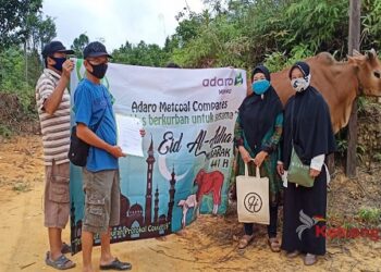 Adaro Bantu 7 Desa di Mura 4 Ekor Sapi dan 10 Ekor Kambing
