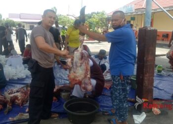 Polres Seruyan Bagikan 1.000 Bungkus Daging Kurban