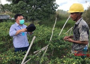 Gubernur Kalteng Berikan Semangat Bagi Petani di Dadahup