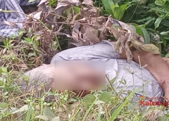 Astaga, Pria Ini Ditemukan Tak Bernyawa di Pinggir Jalan Trans Kalimantan