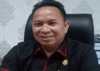 DLH Diminta Untuk Aktif Awasi Kegiatan Perusahaan Tambang