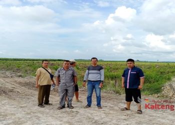 Perkebunan Kelapa Sawit Diduga Serobot Tanah Warga Cempaga