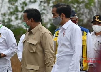 Jokowi di Pulang Pisau : "Diperlukan Percepatan Penanganan Program Food Estate Kalteng"